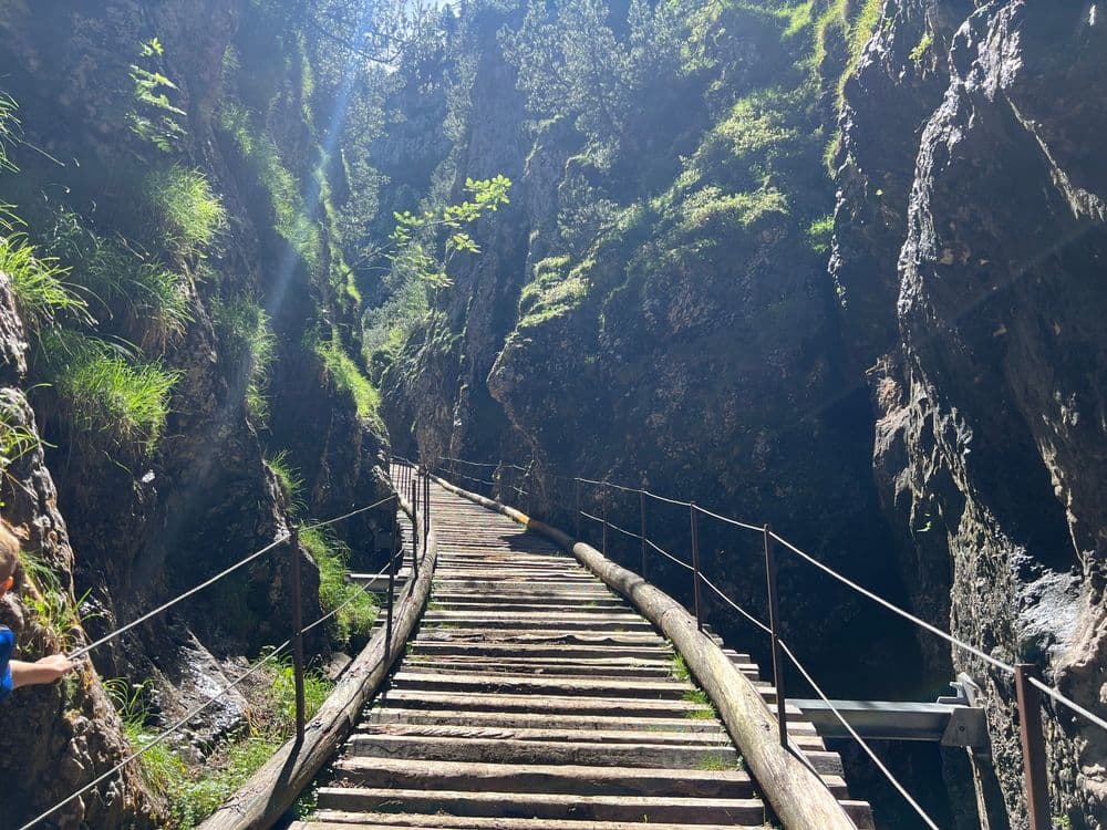 Highlight der Dolomiten     Bärenfalle-Teufelsschlucht