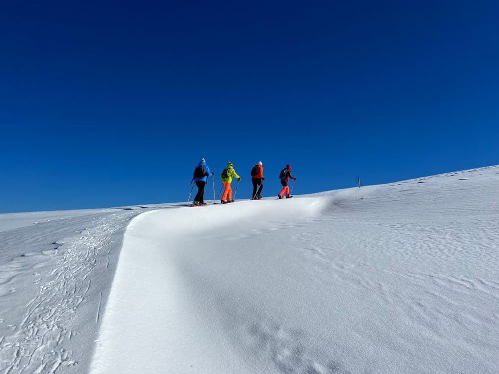 Schneeschuhwanderungen