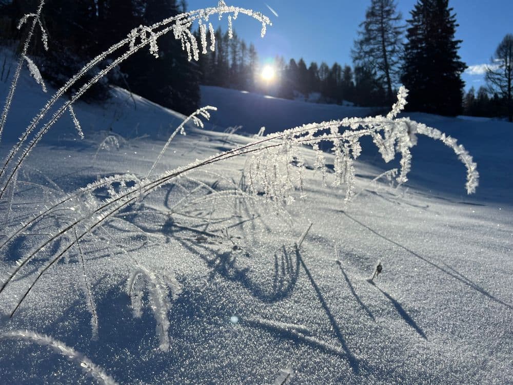 Winterwanderung