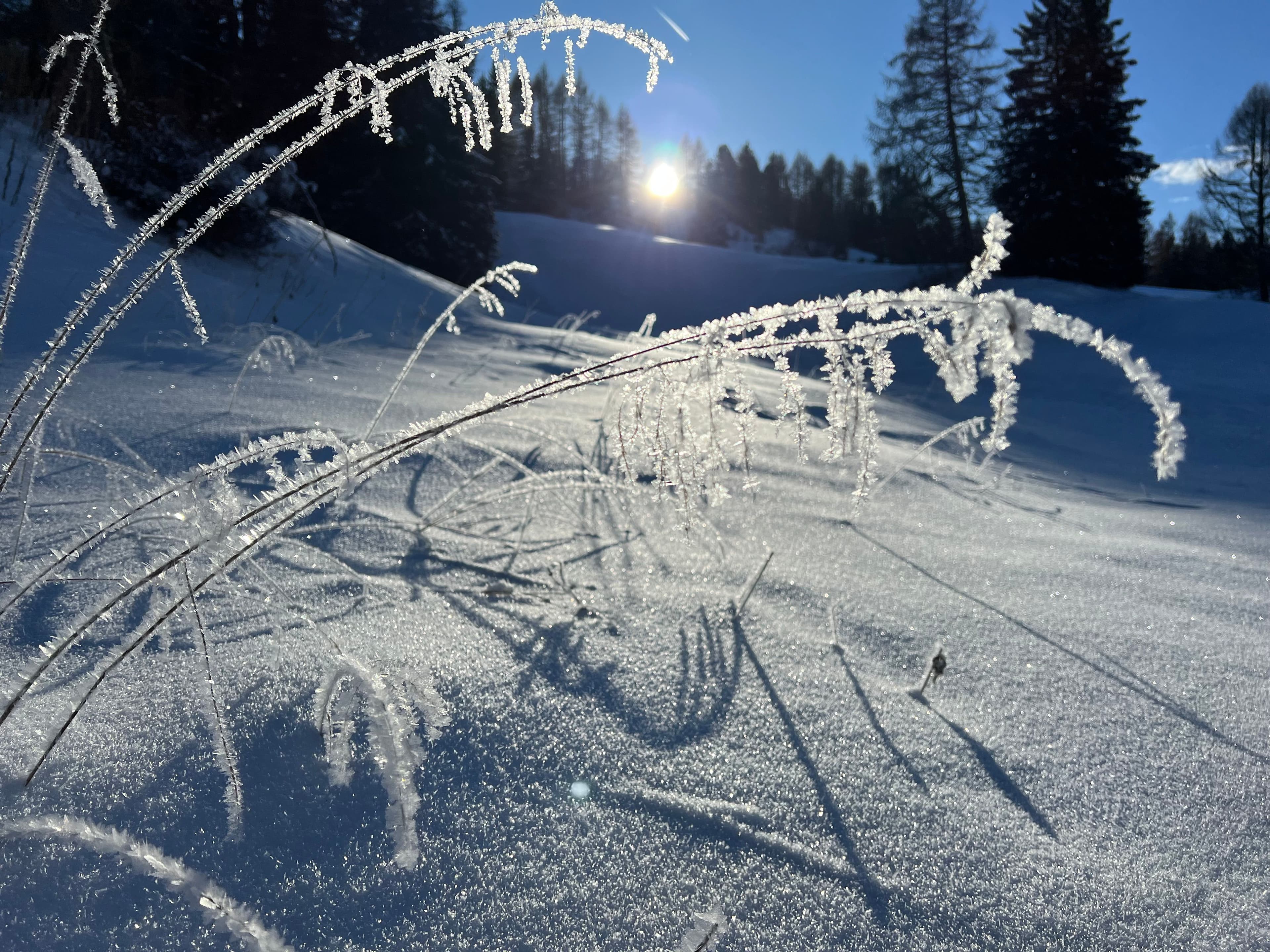 Winterwanderungen